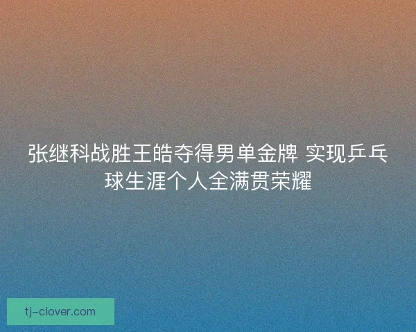 张继科战胜王皓夺得男单金牌 实现乒乓球生涯个人全满贯荣耀