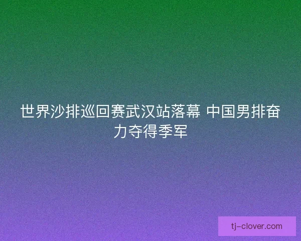 世界沙排巡回赛武汉站落幕 中国男排奋力夺得季军