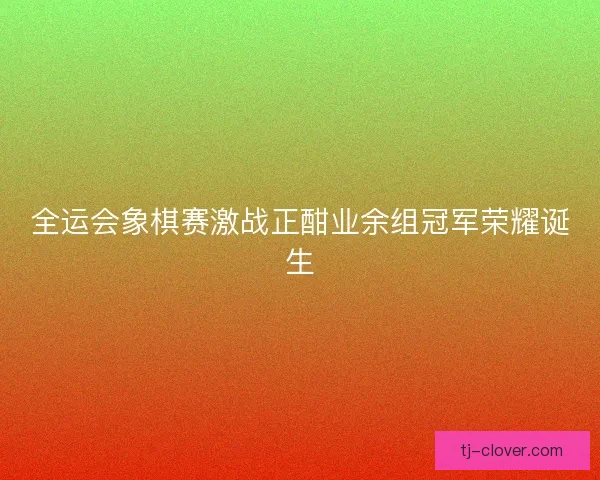 全运会象棋赛激战正酣业余组冠军荣耀诞生