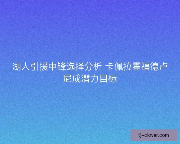 湖人引援中锋选择分析 卡佩拉霍福德卢尼成潜力目标
