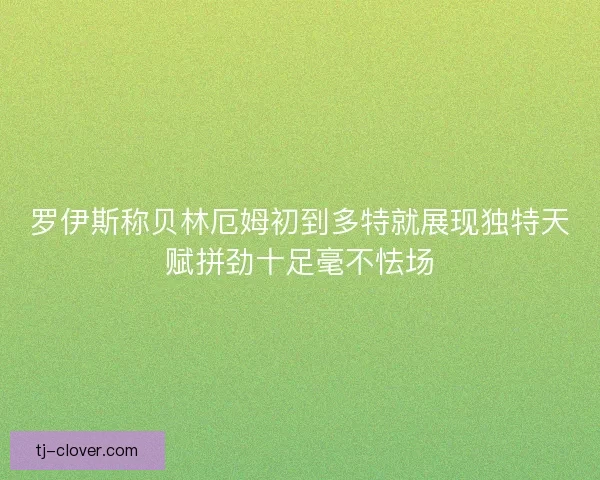 罗伊斯称贝林厄姆初到多特就展现独特天赋拼劲十足毫不怯场