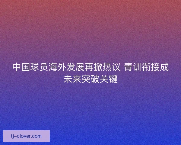 中国球员海外发展再掀热议 青训衔接成未来突破关键
